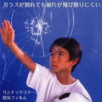 リンテックコマース ガラスメイト 防災・防犯 HGSー10M クリア 92cmX90cm 792684 1本（直送品）