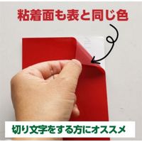 リンテックコマース マーキングフィルム SDー203M カナリヤイエロー 48cmX10m 792719 1本（直送品）