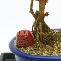 高儀 TAKAGI 肥料容器 小 5個 4907052725737 1セット（8個）（直送品）