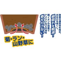 高儀 TAKAGI 立体型防虫銅鉢底アミ 大 1枚 4907052725690 1セット（5個）（直送品）