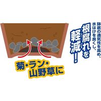 高儀 TAKAGI 立体型鉢底アミ 3枚 4907052725706 1セット（10個）（直送品）