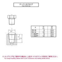 オーツカ STAUFF QUICK-TEST カップリング 100-61.000 1セット（10個入）（直送品）