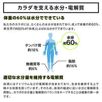 大塚製薬 ボディメンテ ドリンク 500ml 1箱（24本入）（わけあり品）