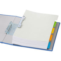 アスクル　カラーインデックス　A4タテ　インデックスシート　2穴　5山　扉紙なし　10組  オリジナル（わけあり品）