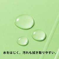 コクヨ アスクル 共同企画 フラットファイル PPラミネート A4ヨコ グリーン 10冊 オリジナル