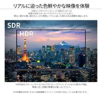 JAPANNEXT 23.8インチ液晶モニター USB Type-C接続対応 JN-IPS238F-C65W 1台 オリジナル