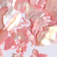 SHAREYDVA シェルシート 2g コーラルピンク 94857 1個（直送品）