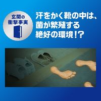 ファブリーズ 芳香剤玄関用 消臭+抗菌 ホワイトティー&シトラス 詰替入り本体ケース 1個 P＆G