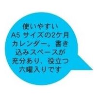 エムプラン 【2023年版】ベーシック A5 卓上2ヶ月カレンダー 203704-01 1セット(2冊)（直送品）