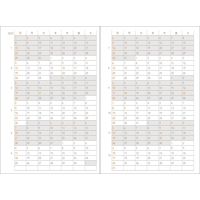 ダイゴー 【2023年版】フレームマンスリー手帳 A6変型 日曜始まり グレー E8242 1冊（直送品）