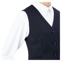 カーシーカシマ AIR SWING SUITS “BRIGHT” ベスト ブラックストライプ 15号 EAV866 1着