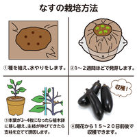 アーテック お家で楽しく栽培キット なす 102936 1セット(1個×3)