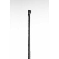 グリーンベル チタン製耳かきブラック 4972525535236 1個