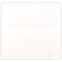 日本ホールマーク 封筒　懐封コレクション　キャット 809355 6パック（直送品）