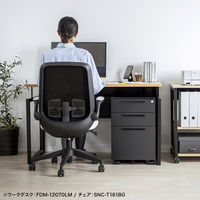 サンワサプライ キャビネット 幅390×奥行534×高さ600mm ホワイト SNW-106BK 1台（直送品）
