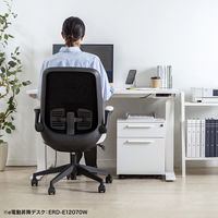 サンワサプライ キャビネット 幅390×奥行534×高さ478mm ホワイト SNW-105W 1台（直送品）