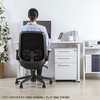 サンワサプライ キャビネット 幅390×奥行534×高さ600mm ホワイト SNW-106W 1台（直送品）