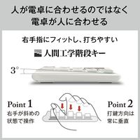 カシオ計算機 人間工学電卓大型 DE-12D-WE-N 1個