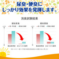 エステー 消臭力 エールズ おむつゴミ箱用 すっきりシトラスの香り 130191 1パック(2個入)