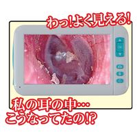 デジタルランド モニター付き耳かきスコープ a28118 1個（直送品）