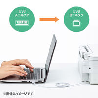 サンワサプライ 極細USBケーブル(USB2.0 A-Bタイプ、2.5m・ホワイト) KU20-SL25WK 1本
