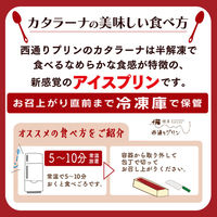 西通りプリン 夏限定カタラーナ・ジェラートセット　CG22-2 788030 1セット（直送品）