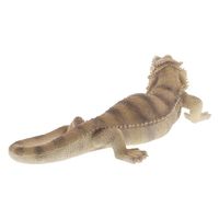 紅石 フトアゴヒゲトカゲ　ＱＹー１５９　1個（直送品）