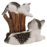 紅石 ベニーズキャット　ＱＹー２２６　1個（直送品）