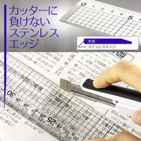 ライオン事務器 ハイカットスケール 定規 30cm HC-30 27171 1本