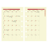 ２０２３年度1月始まりダイアリー クオバディス タイマー１４　ミニ６穴　システム手帳レフィル 1週間バーチカルタイプ アイボリーペーパー1冊（直送品）