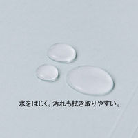 フラットファイル　PPラミネート　A4ヨコ　10冊　ブルー　アスクル  オリジナル（わけあり品）