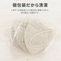 不織布マスク 3D キープフィット ライトベージュ ふつうサイズ(個包装) 25枚入り（直送品）