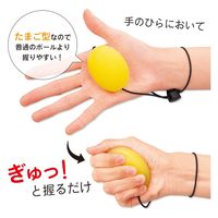 コモライフ ひも付握力たまご ライム&レモン 390274 1組(2個)