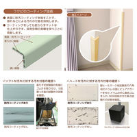 フクビ化学工業 ピュアナガード用小口キャップ 27×27×3mm サニーイエロー PGCY 1梱包（2個入）（直送品）