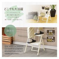 Netforce 折りたたみ 踏み台2段 ブラック NF-FD-2-AW 1台（直送品）