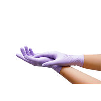 川西工業 検査検診用ニトリルグローブ ダリア 粉なし 250枚 L 2069L 1箱(250枚入)