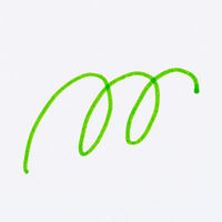 寺西化学工業 水性ペン マジック ラッションペンNo.300 黄緑 M300-T9 1本