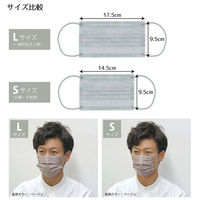 カラー不織布マスク30枚BOX　L（Nブラウン） 42930208 1セット（10箱） 丸玉工業（直送品）