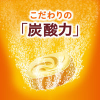 入浴剤 バブ 5種類の香りお楽しみBOX バラエティ 1箱（60錠入) 大容量アソート 花王