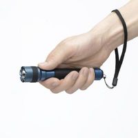 LEDアルミフラッシュライト 30lm L6A304GB ヤザワコーポレーション（直送品）