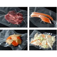 朝日産業 本格家庭用真空パック器 DUCKY ダッキー 00479756 1台（直送品）