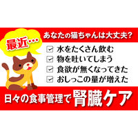 健康缶 シニア猫用 皮膚・被毛ケア 40g 48袋 アイシア キャットフード パウチ