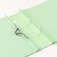 セキセイ のびーるファイル　エスヤード　PP製　グリーン AE-1250-30 2冊