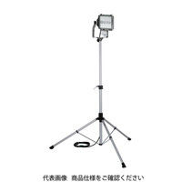 畑屋製作所 ハタヤ 業務用防犯センサーライト LTSLー310KN 1個（直送品）