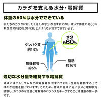 大塚製薬 ボディメンテ ドリンク 500ml 1セット（48本）