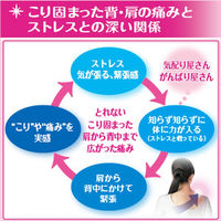 コリッシュ 10包 大正製薬　肩こり 漢方薬 治肩背拘急方【第2類医薬品】