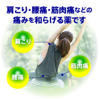 トクホン 80枚 大正製薬湿布 使いやすい小さめサイズ 肩こり 腰痛 筋肉痛 筋肉疲労 関節痛【第3類医薬品】
