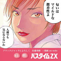 パスタイムZX 14枚 祐徳薬品工業　貼り薬　テープ剤　微香性 肩の痛み　筋肉痛【第2類医薬品】