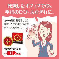 キップパイロールHi 40g キップ薬品　塗り薬　日焼け 軽度のやけど 切傷 すり傷 あかぎれ 雪焼け【第2類医薬品】