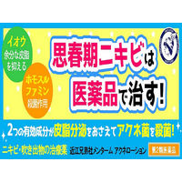 近江兄弟社メンタームアクネローション 110ml 近江兄弟社　塗り薬 にきび ふきでもの【第2類医薬品】
